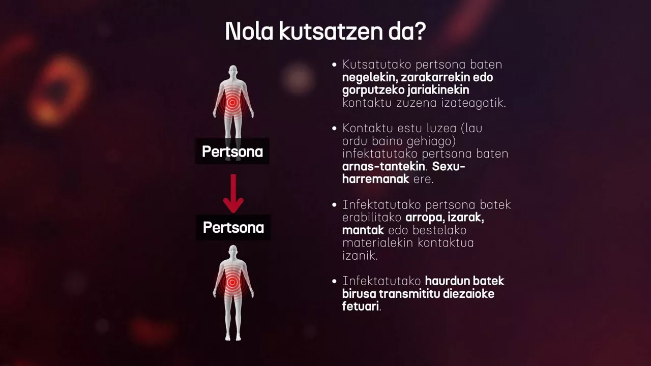 Kutsadura pertsona pertsona tximino baztanga