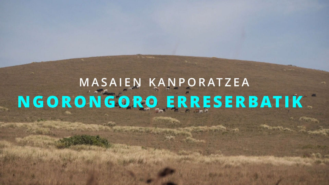 20240816174244_masai_