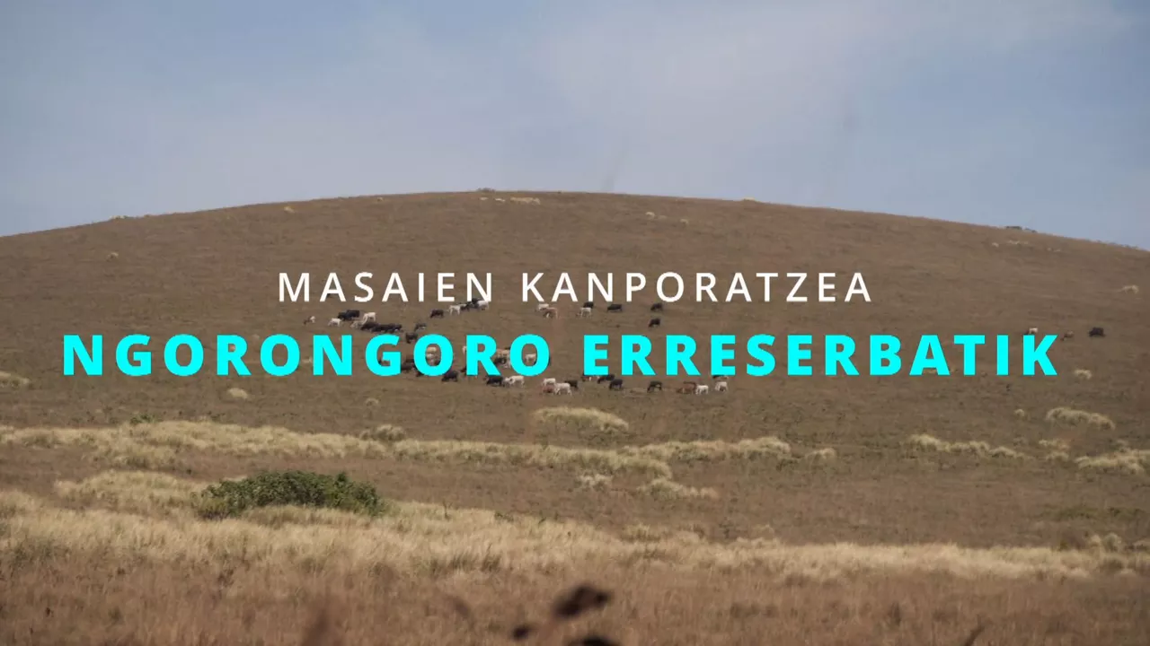 20240816174244_masai_