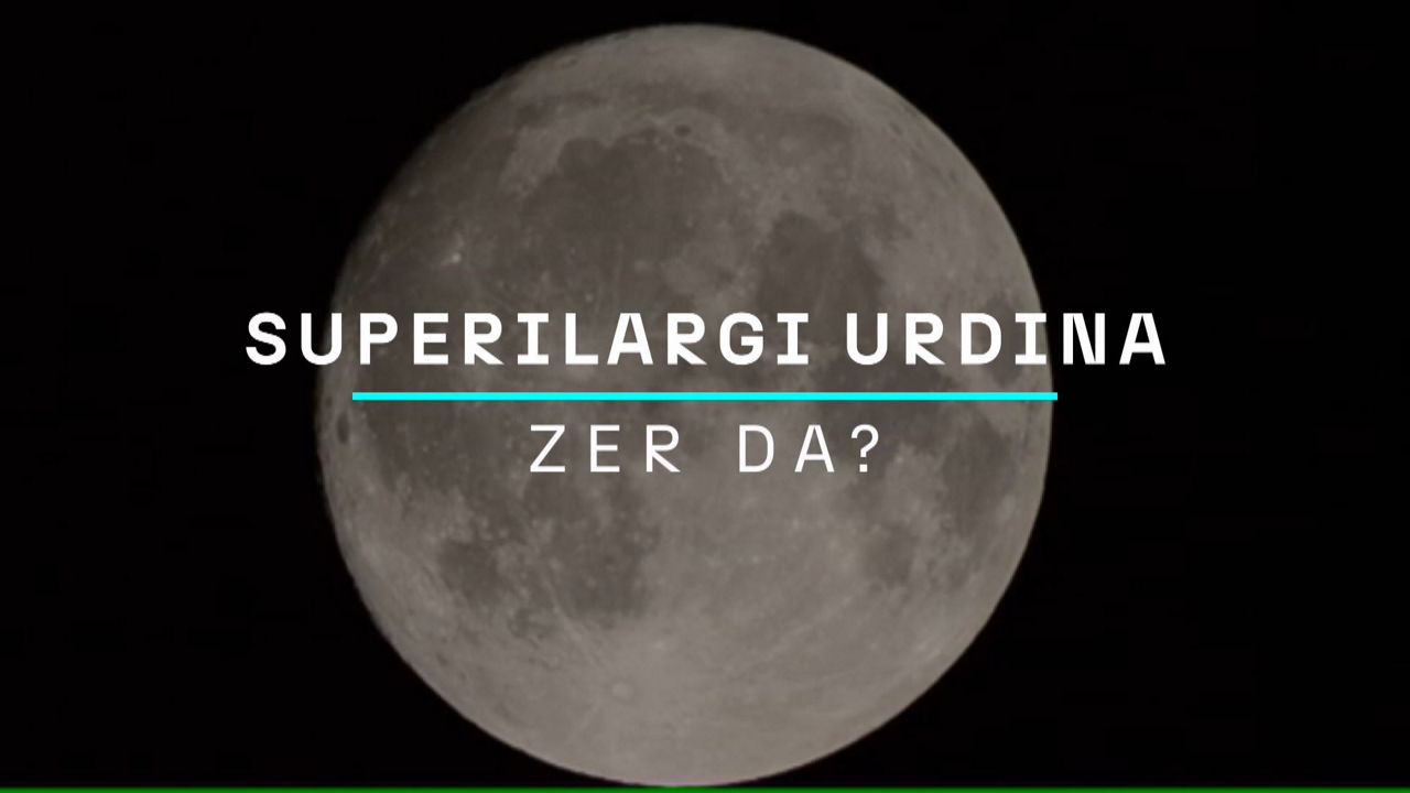 20240819105255_superilargi-urdina-zer-da_
