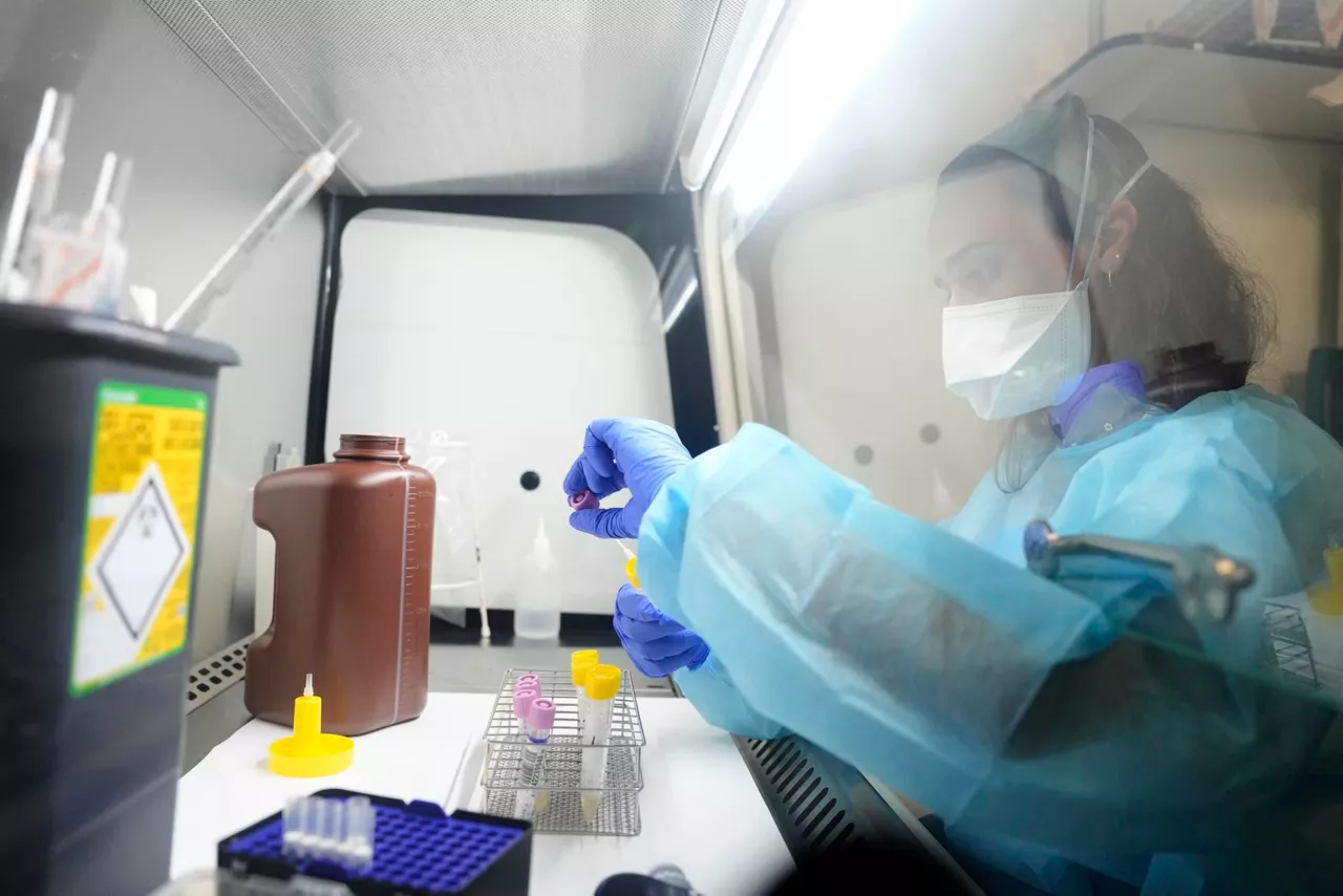 Laboratorio