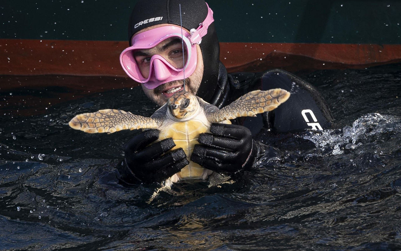 tortuga dordoka aquarium donostia san sebastian efe