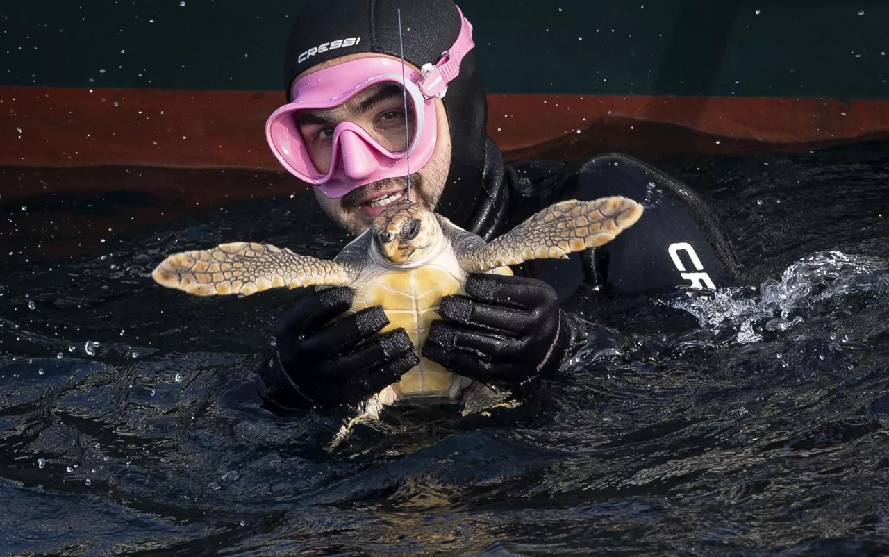 tortuga dordoka aquarium donostia san sebastian efe