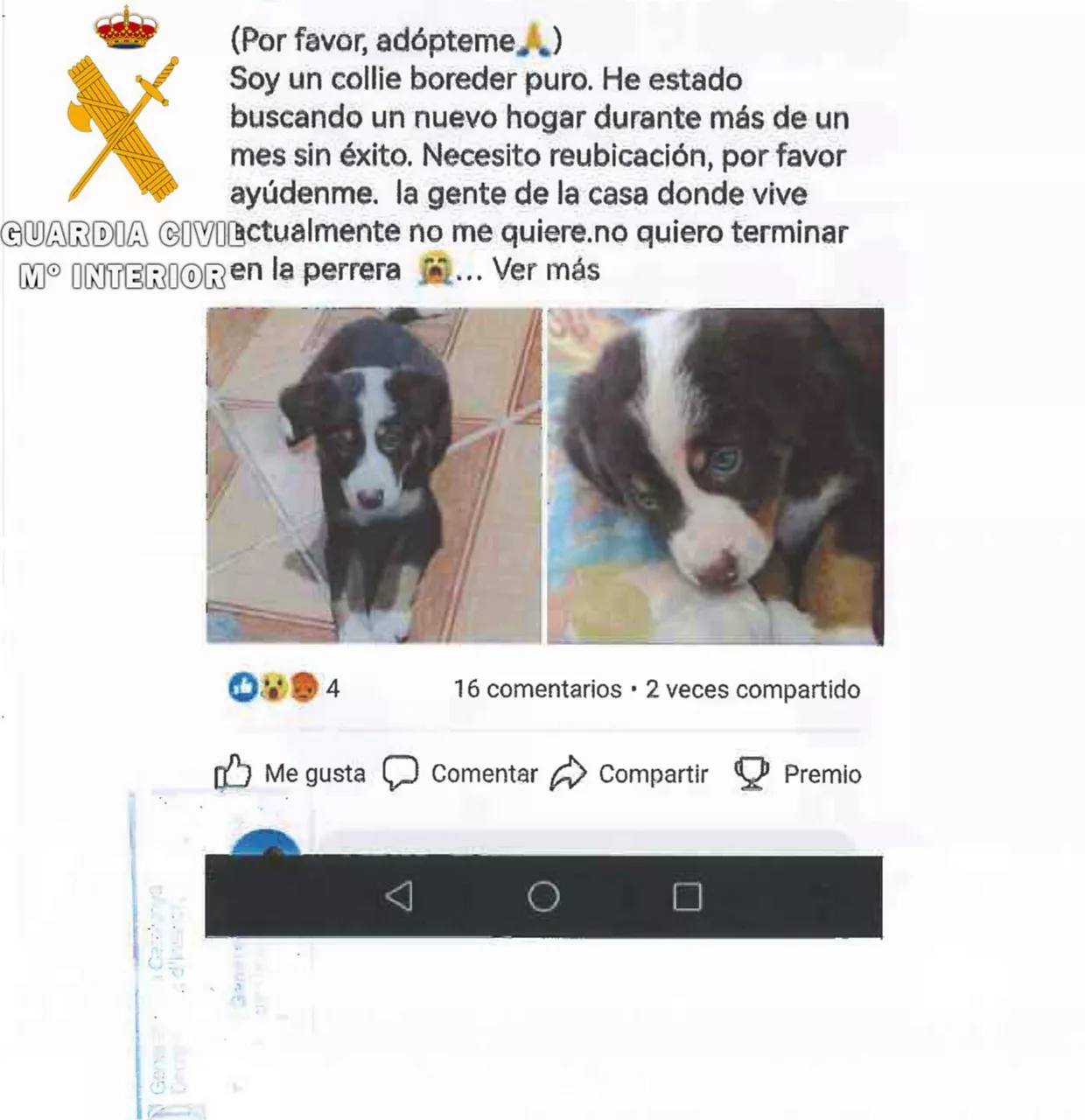 Guardia Civil Operación Dog Fake 2