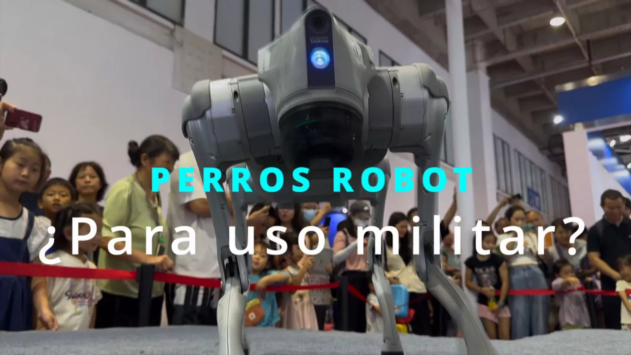 20240823162641_perros-robot_