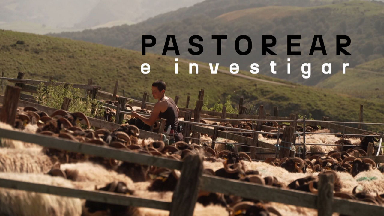 20240825150811_pastorear-e-investigar_