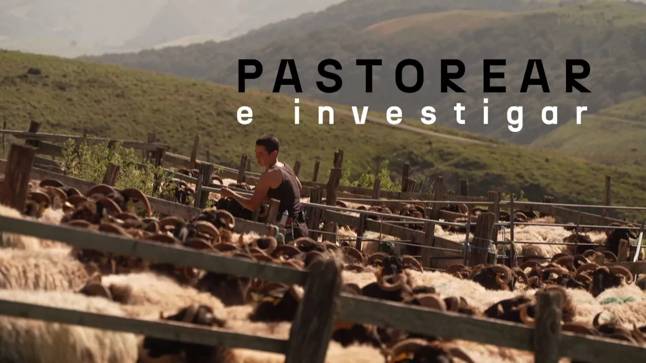 20240825150811_pastorear-e-investigar_