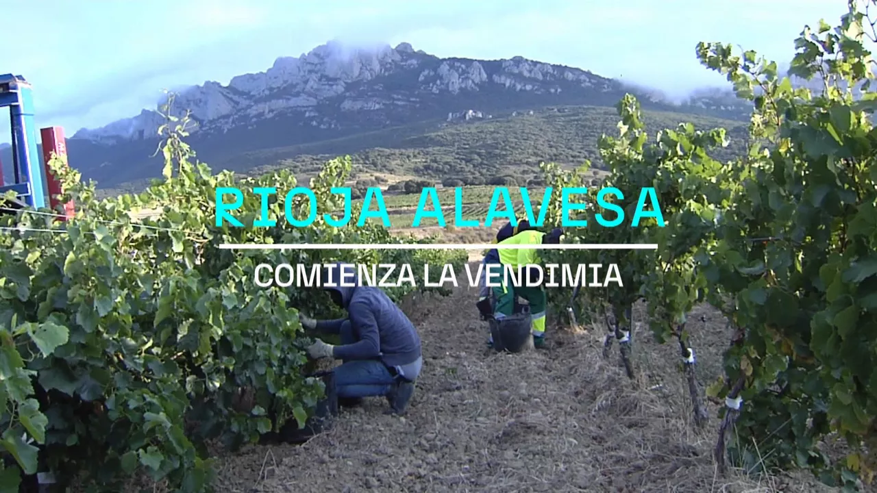 20240826130934_bodegas-rioja-alavesa_