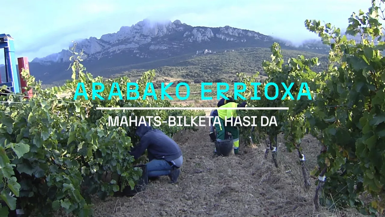 20240826131648_upategiak-arabako-errioxa_