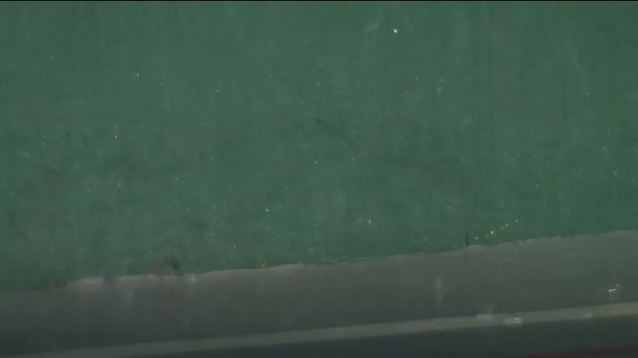 20240831211042_pelota_