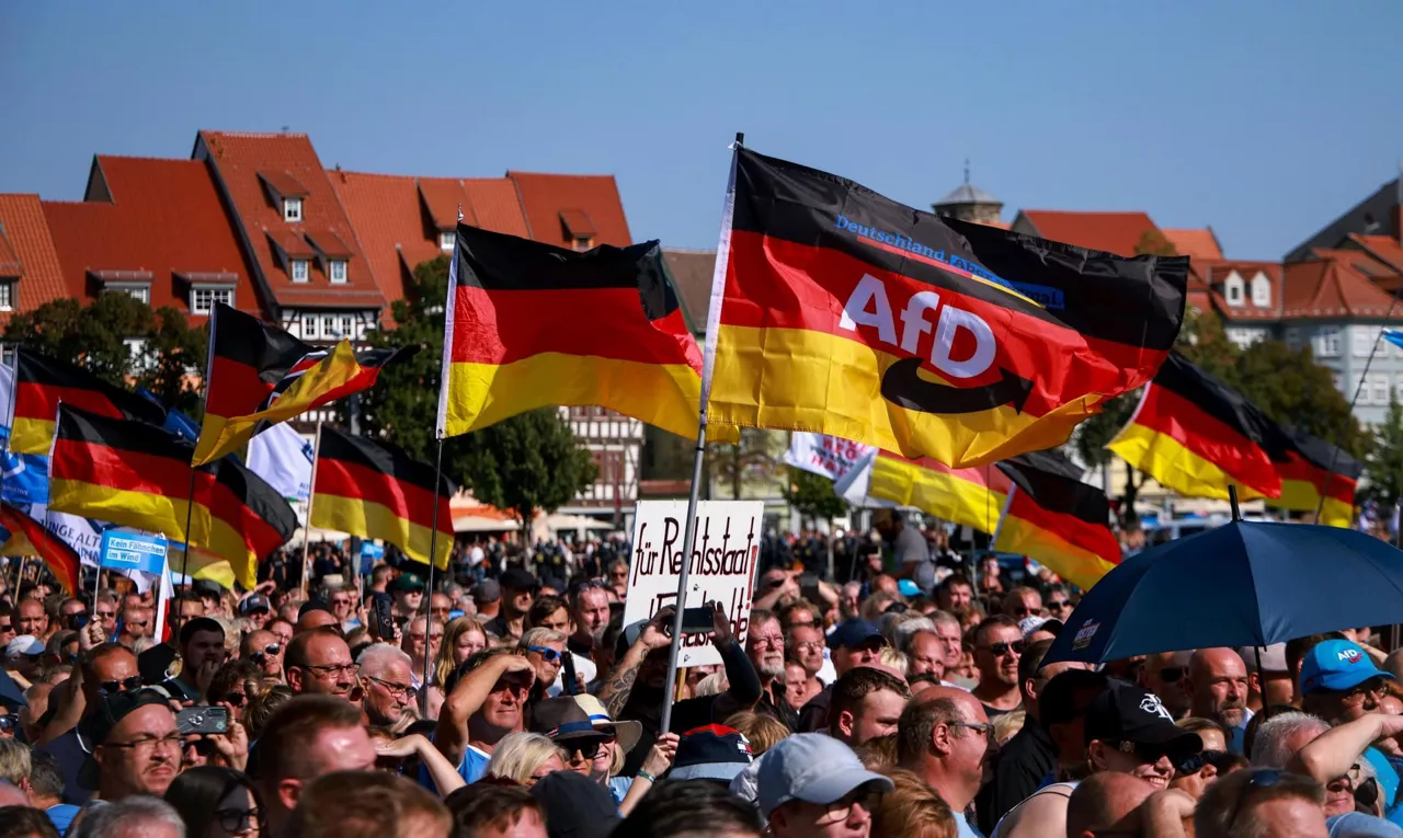 alemania afd alderdiaren aldeko manifestazioa efe