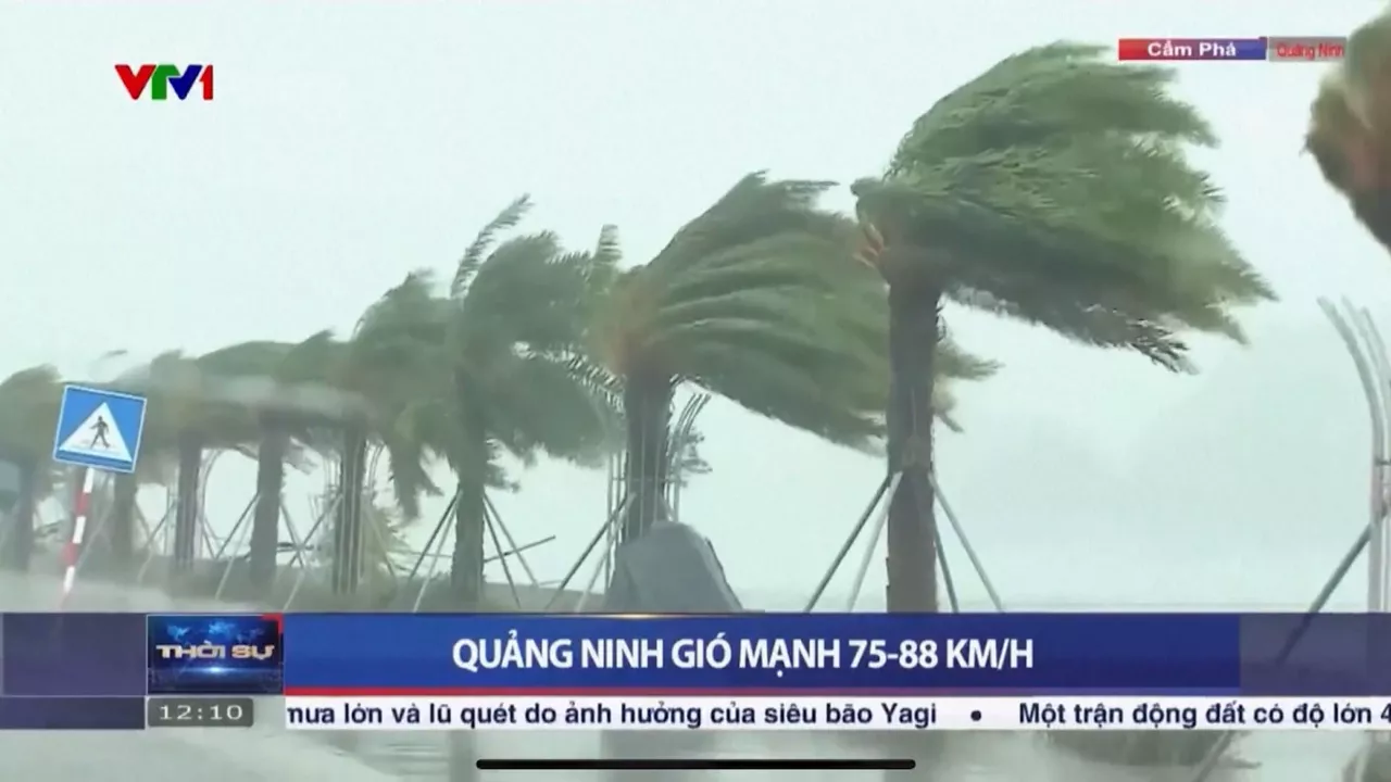 20240907151133_vietnam_
