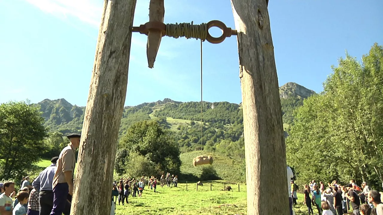 20240914171547_araiz-gaintza-malloak-cables_