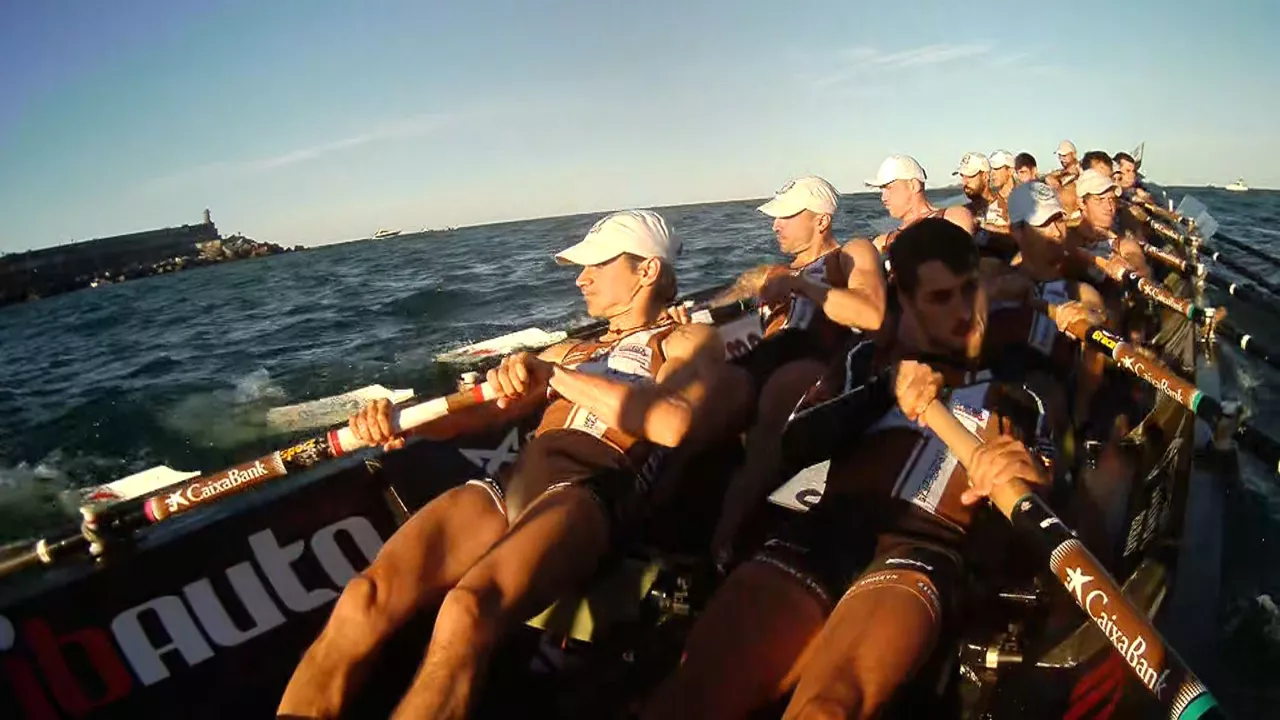 20240915093548_zierbena_