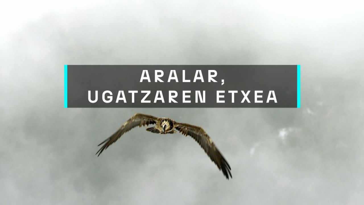 20240916185351_aralar-ugatzaren-etxea_
