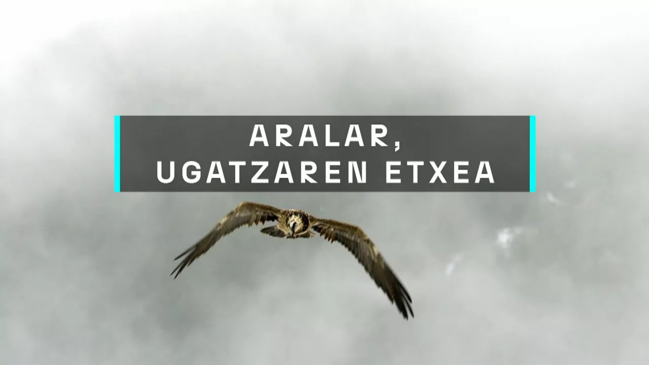20240916185351_aralar-ugatzaren-etxea_