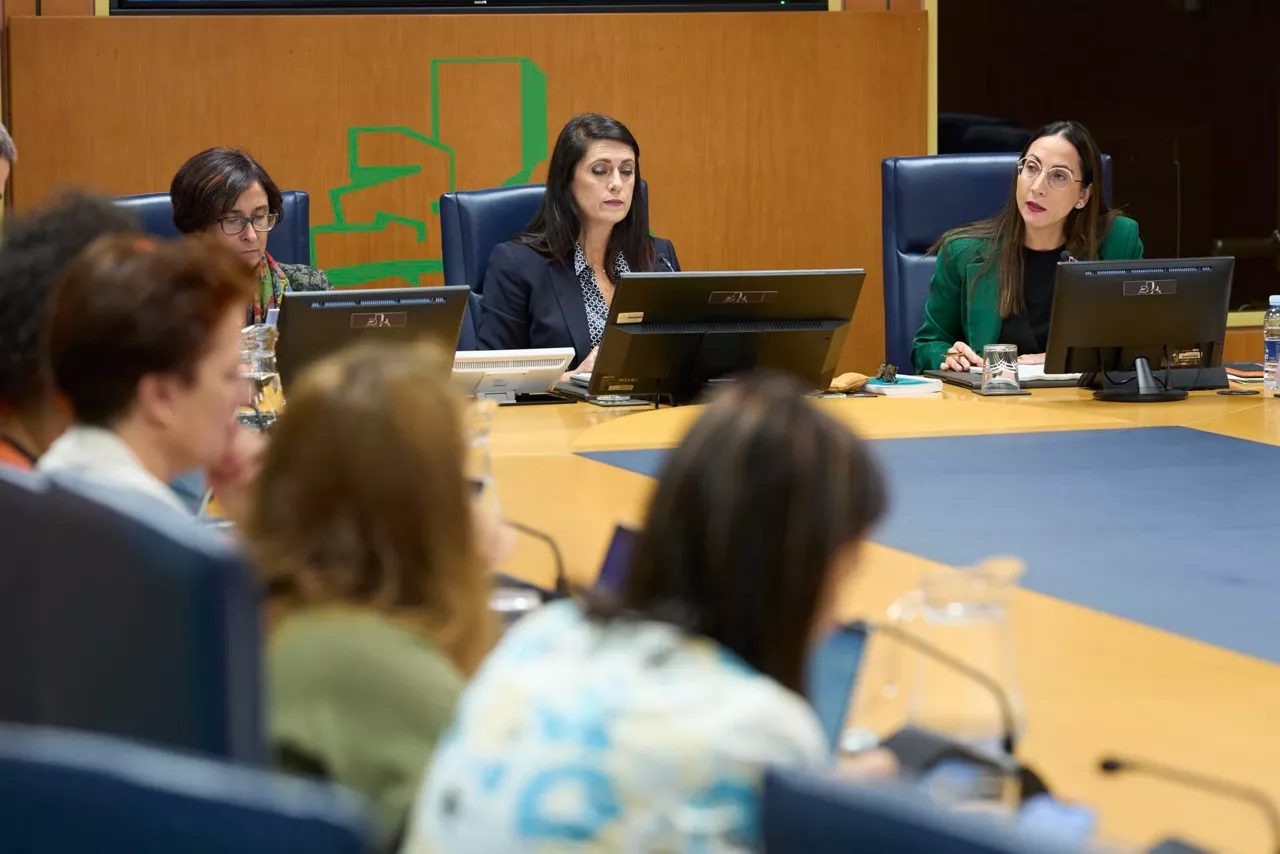 begoña-pedrosa-consejera-educacion-comision-parlamento-vasco-efe