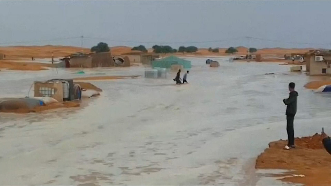 20240924105054_sahara_