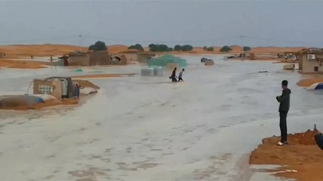 20240924105054_sahara_