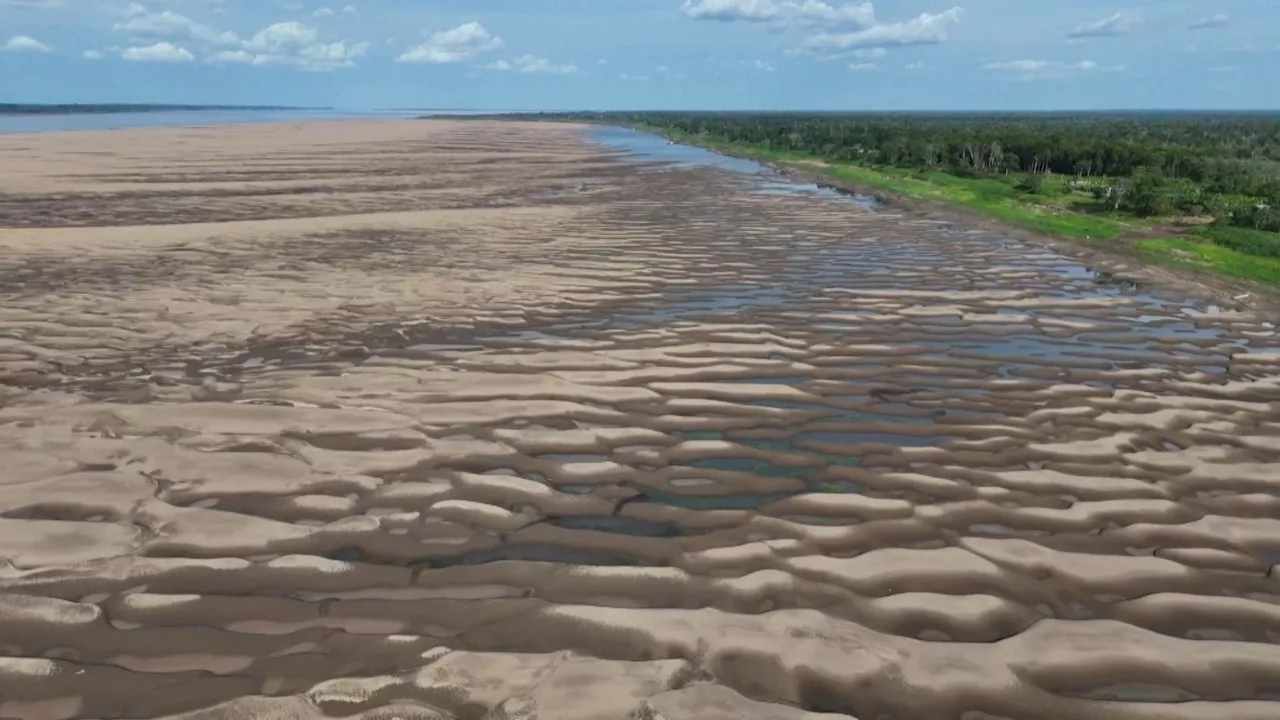 20241001092729_amazonas_