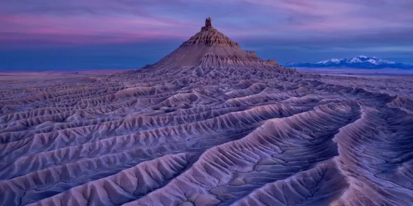 Ground vein (EE. UU.). Xiaoying Shi 