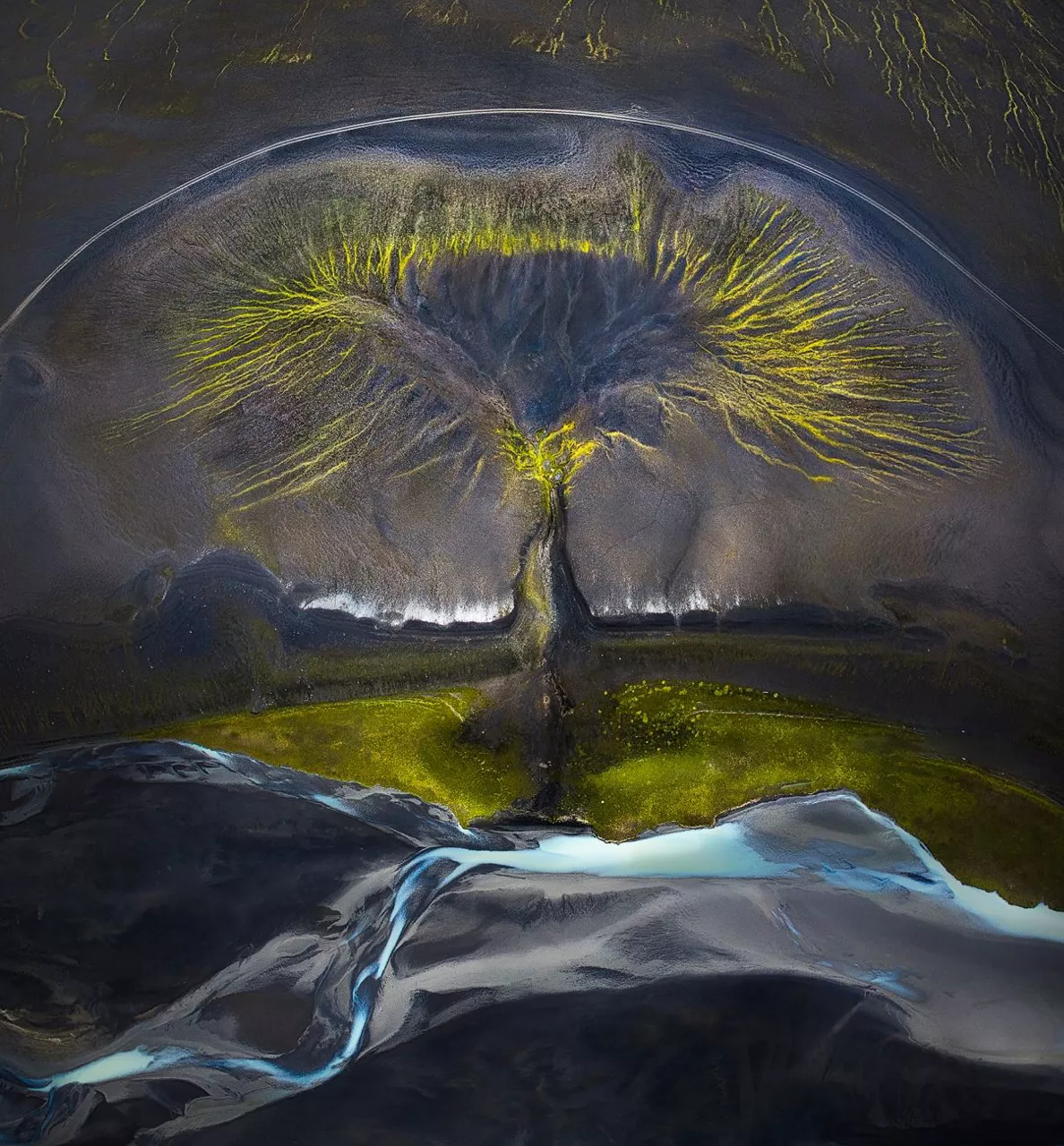 Tree of life Isabella Tabacchi
