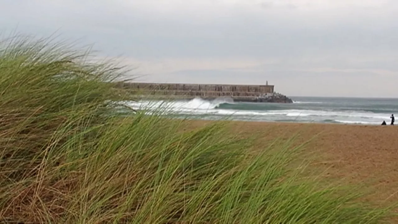 20241007161253_viento-haizea_