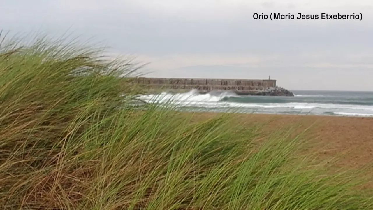 20241007162103_orio-maria-jesus-etxeberria_