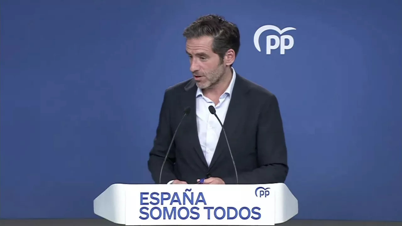 20241008085924_borja-semper_