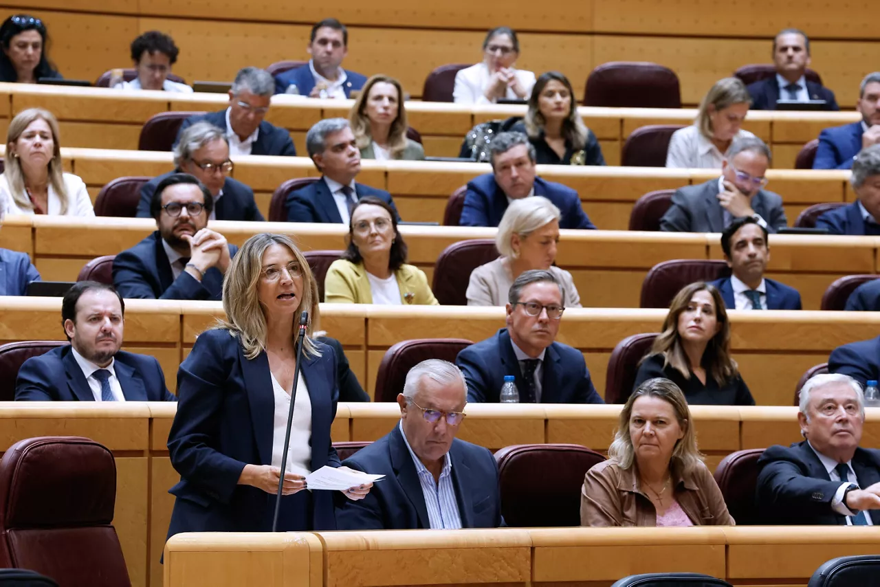 senado senatua alicia garcia pp