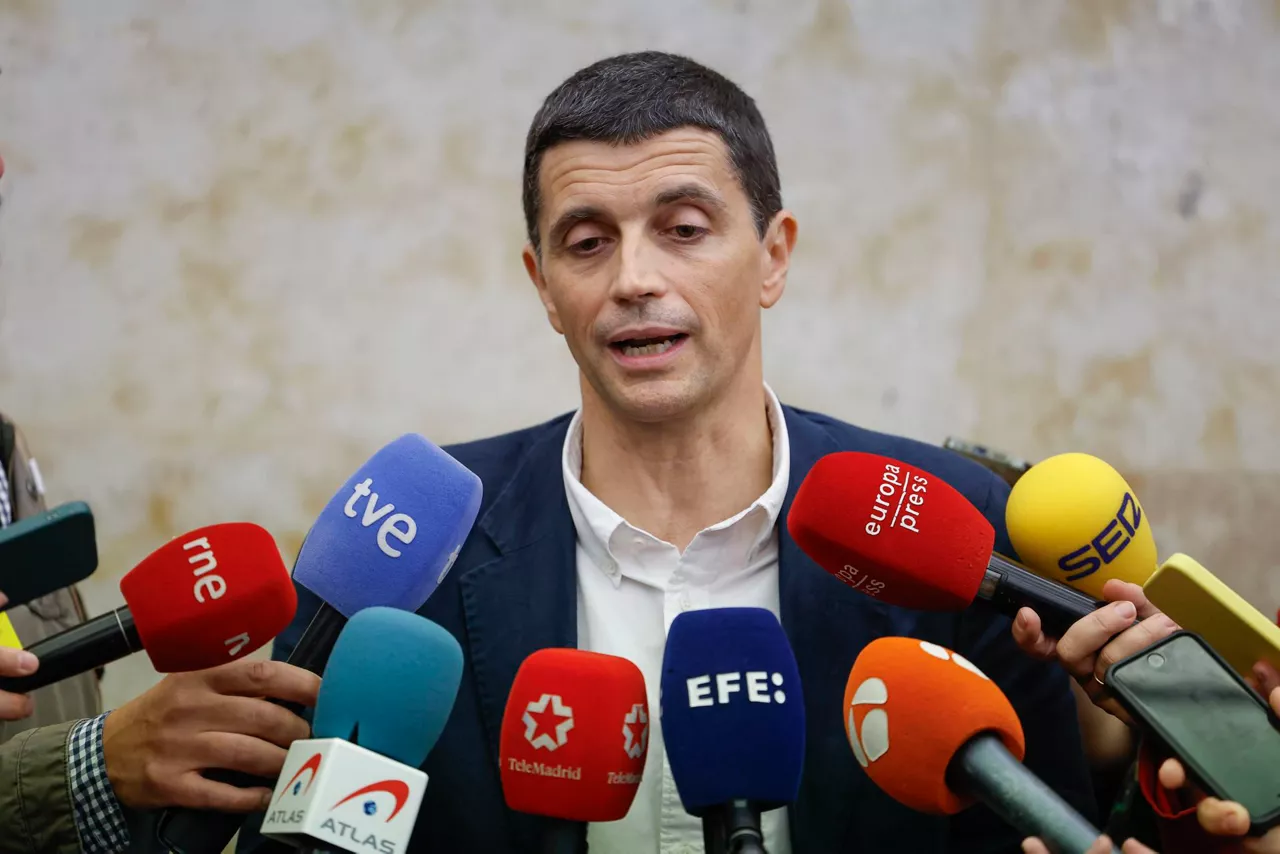 borja-suarez-secretario-estado-seguridad-social-efe