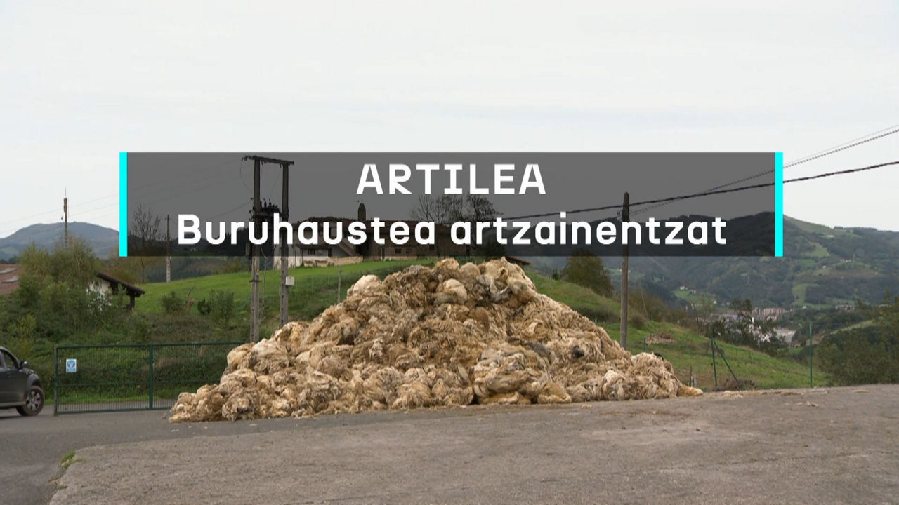 20241016170224_artilea-buruhaustea-artzainentzat_