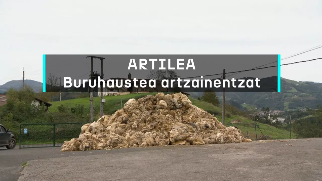 20241016170224_artilea-buruhaustea-artzainentzat_