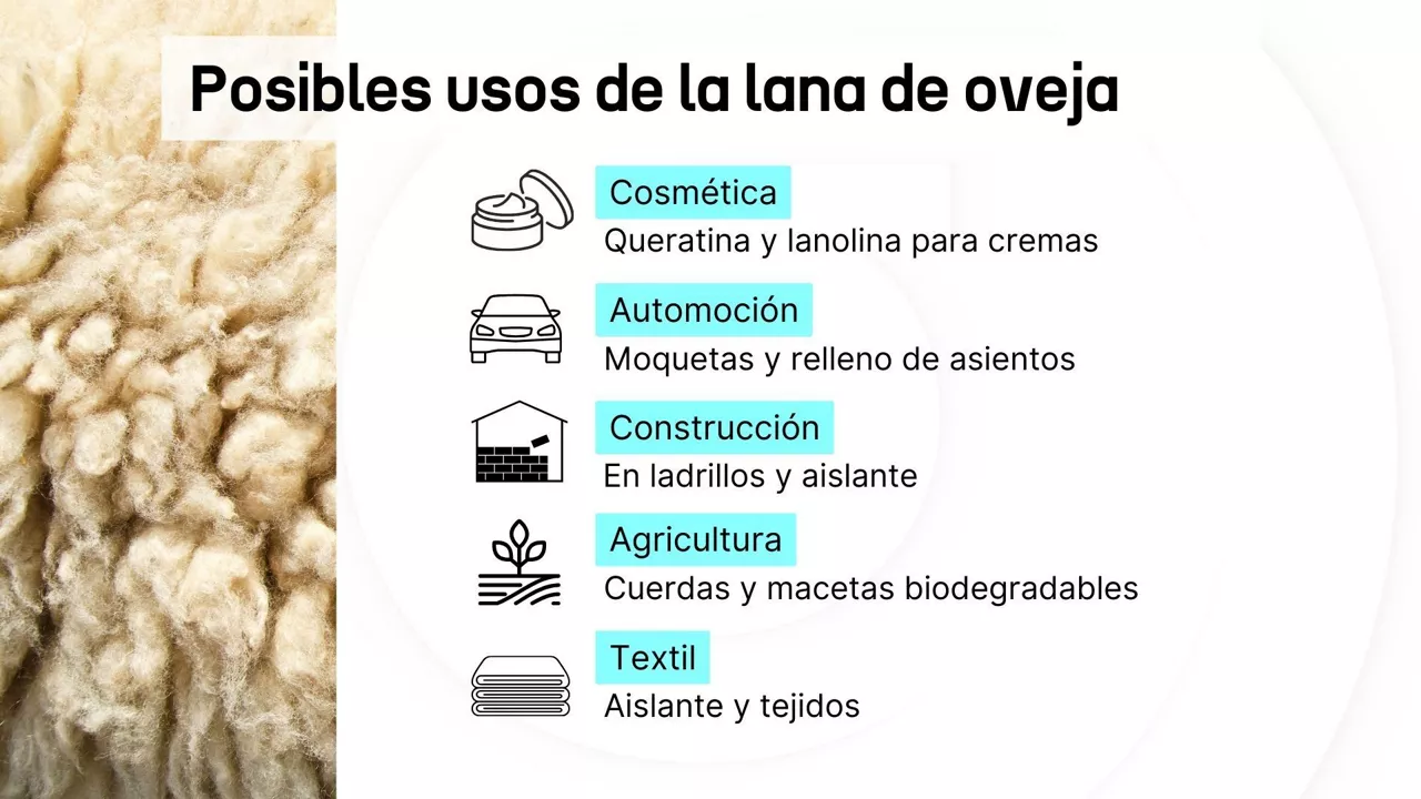usos de la lana de oveja