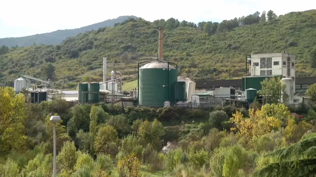 20241018162535_agralco-lizarra-lan-istripua_