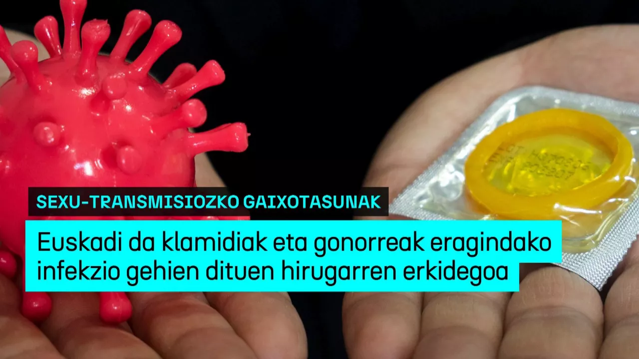 20241022155747_sexutransmisiozko-gaixotasunak_