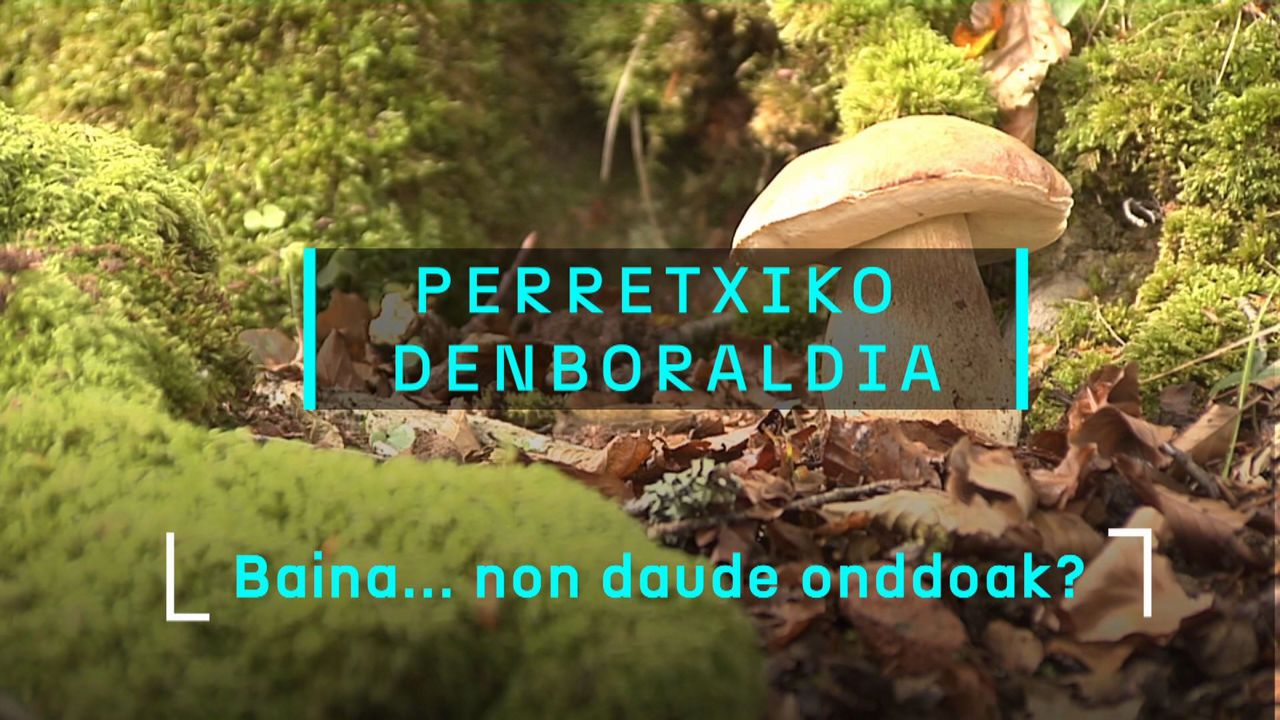20241023161011_onddoakeusk_