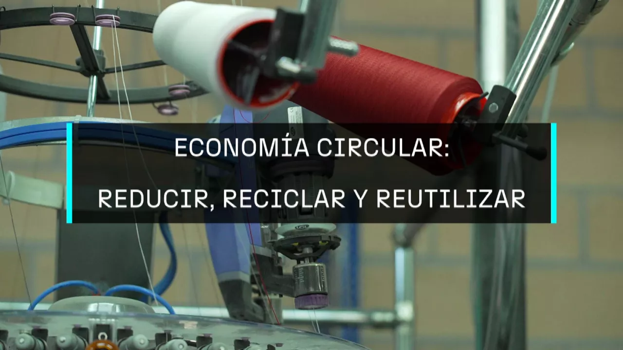 20241024134644_economia-circular_