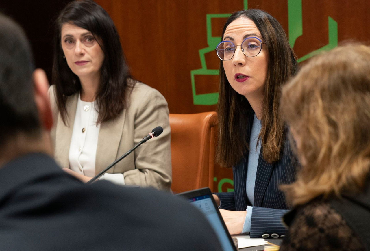 begoña pedrosa comision educación iturria: irekia