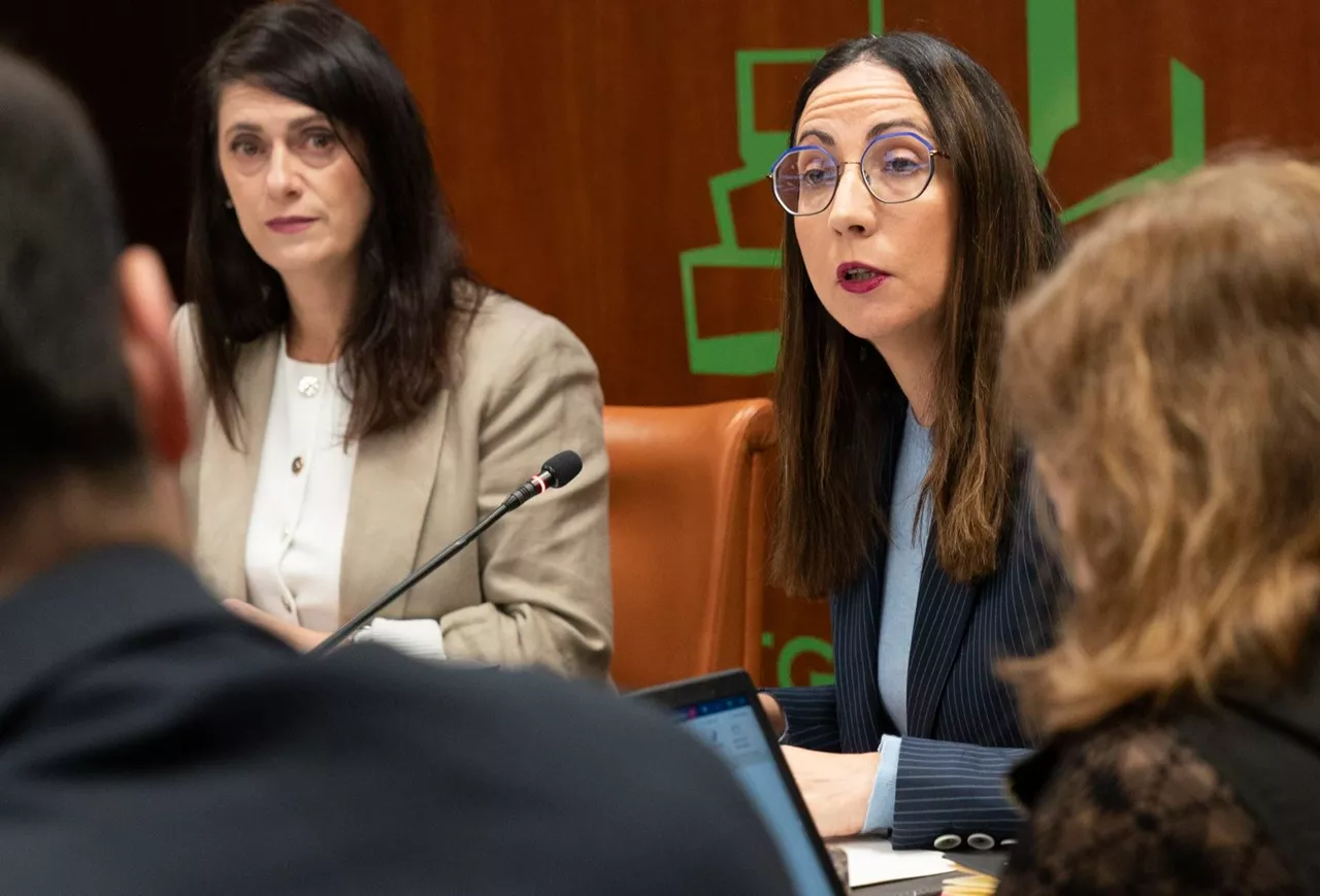 begoña pedrosa comision educación iturria: irekia