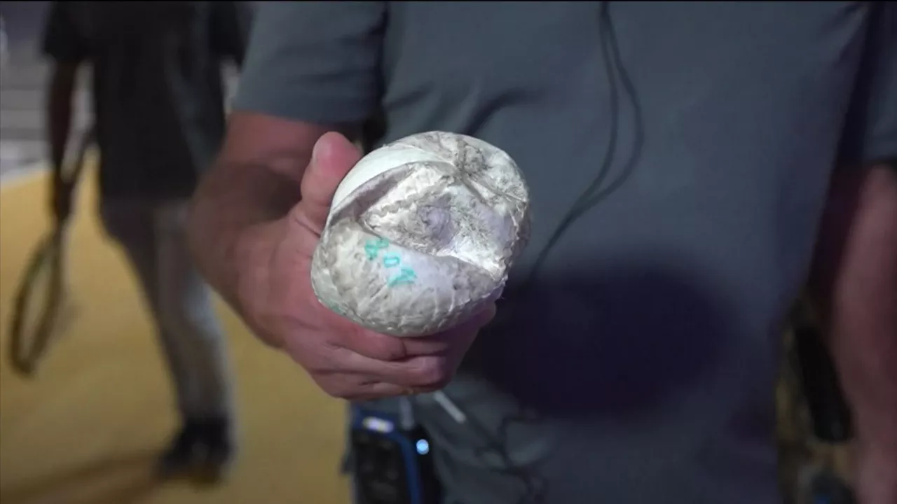 20241028204947_pilotapelotawinterserieseitbmedia_