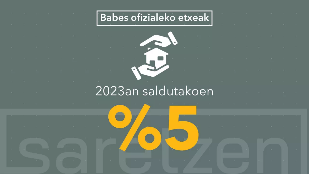 DLS BABES OFIZIALEKOAK EUS