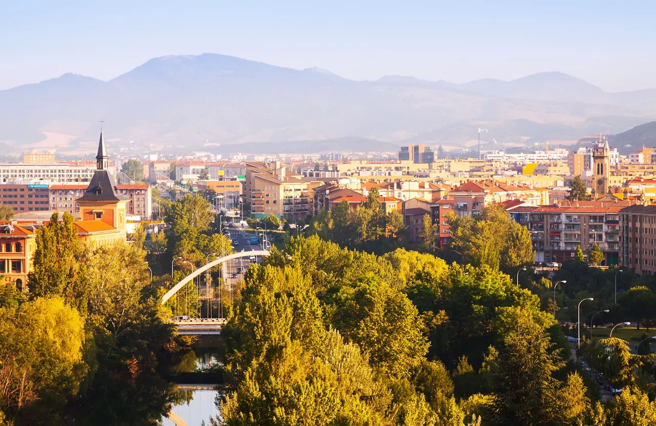 view-pamplona-with-bridge-arga