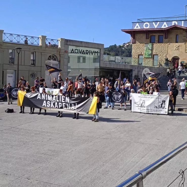 Nor antiespezista mobilizazioa Aquariuma