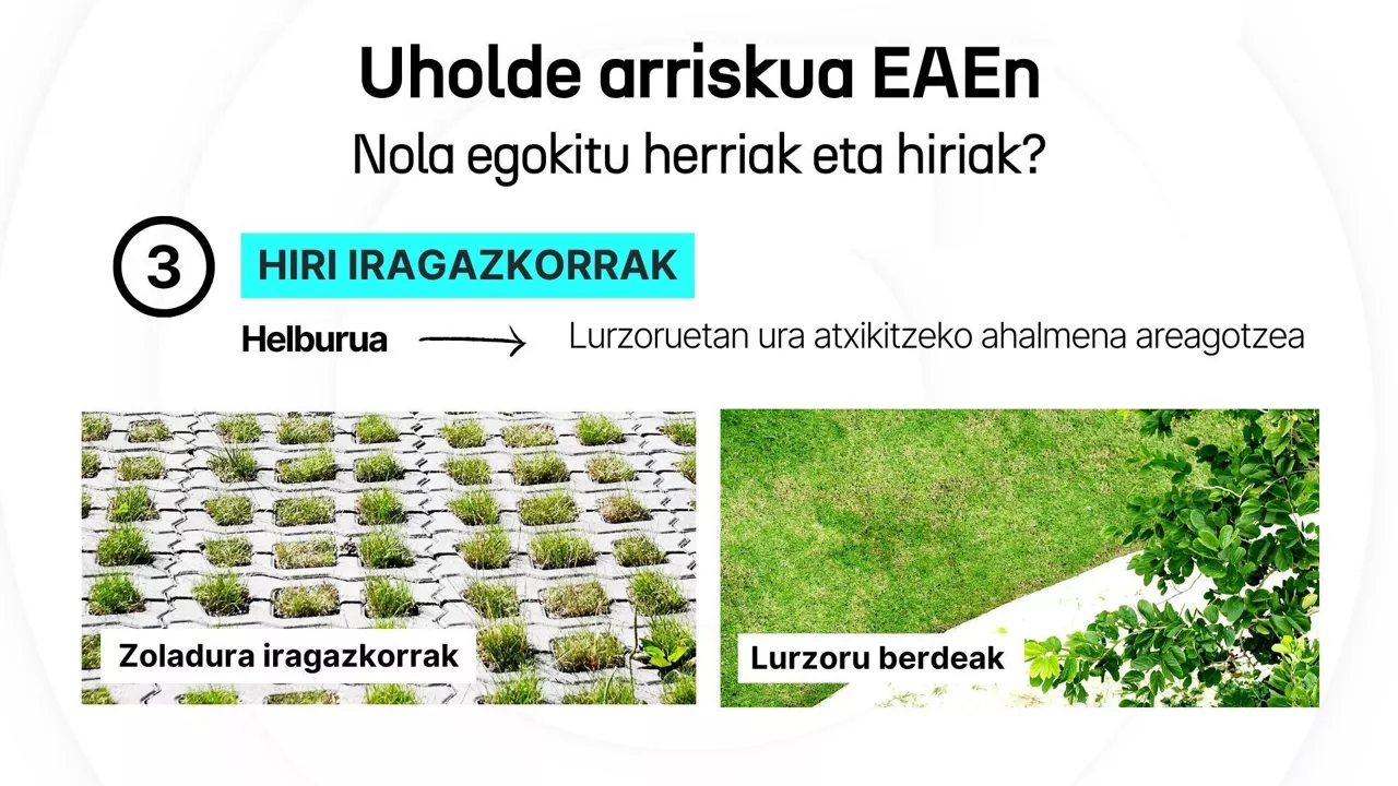 Uholdeak DLS 4