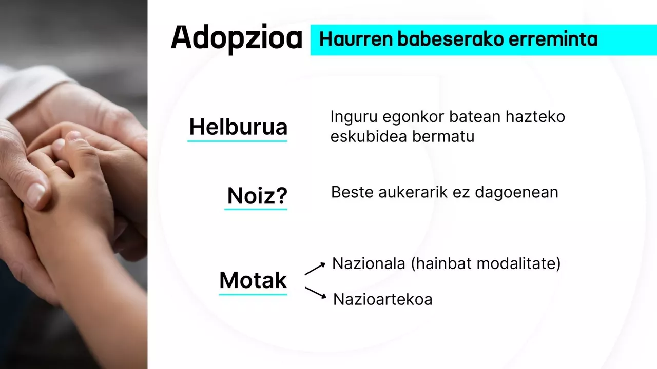 DLS adopzioaren printzipioak
