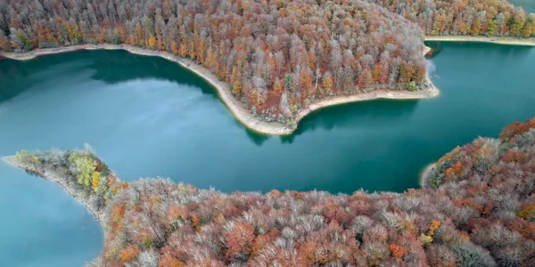 Pantano de Irabia y bosque de Irati, a vista de dron. EFE.