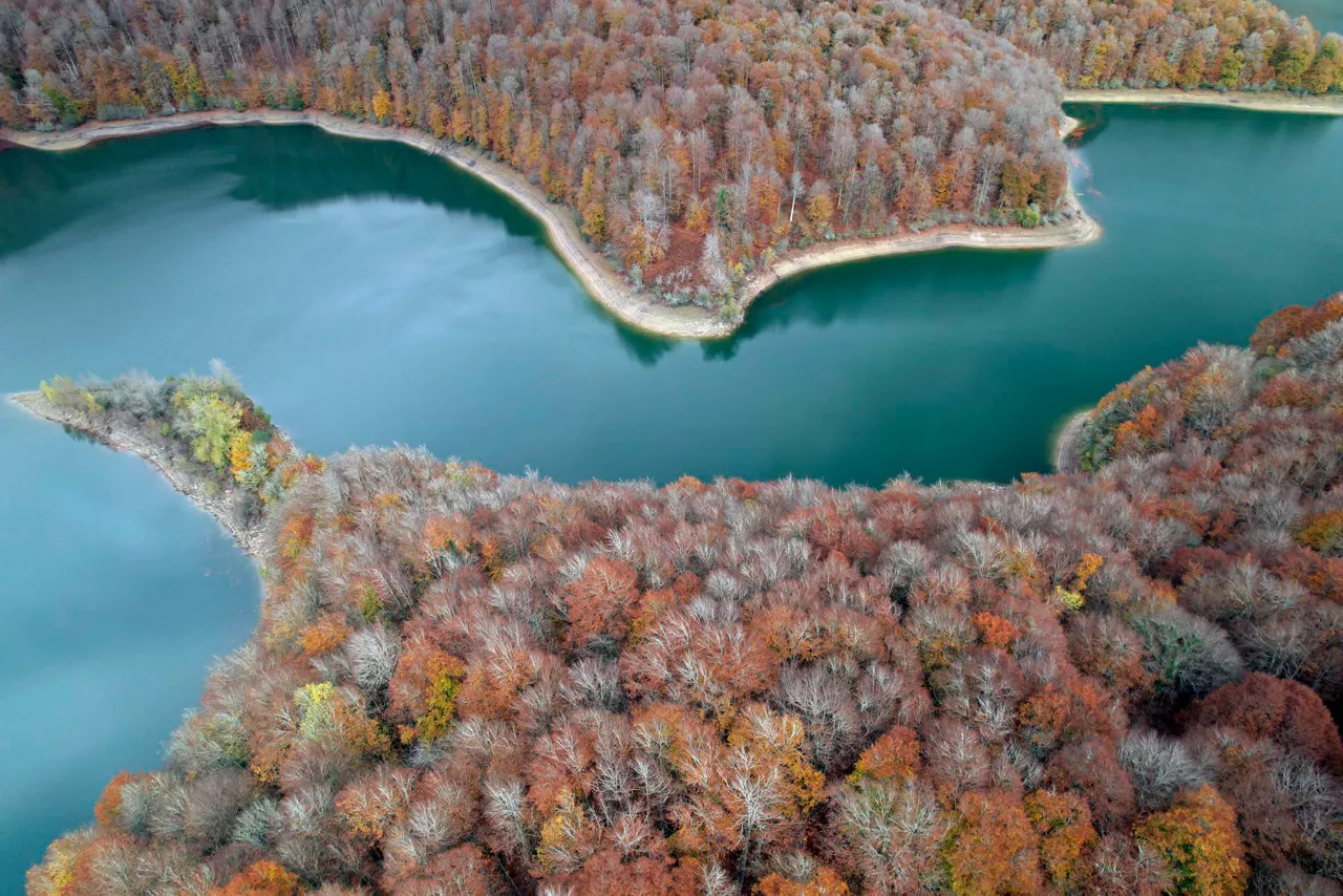Otoño en Orbaizeta