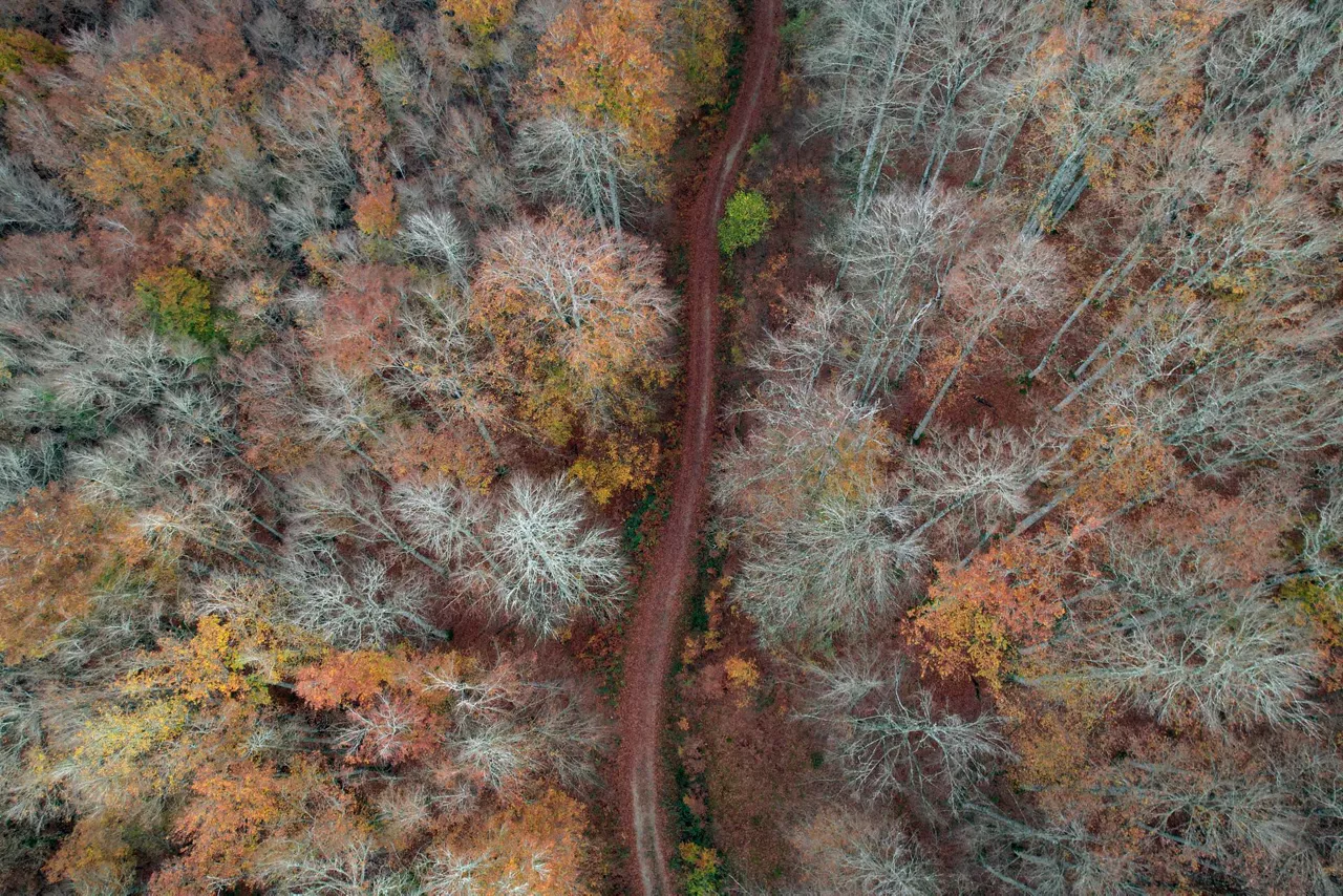 Otoño en Orbaizeta