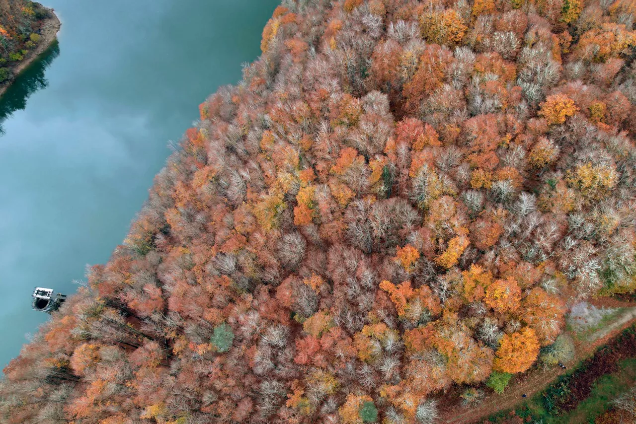 Otoño Udazkena Orbaizeta